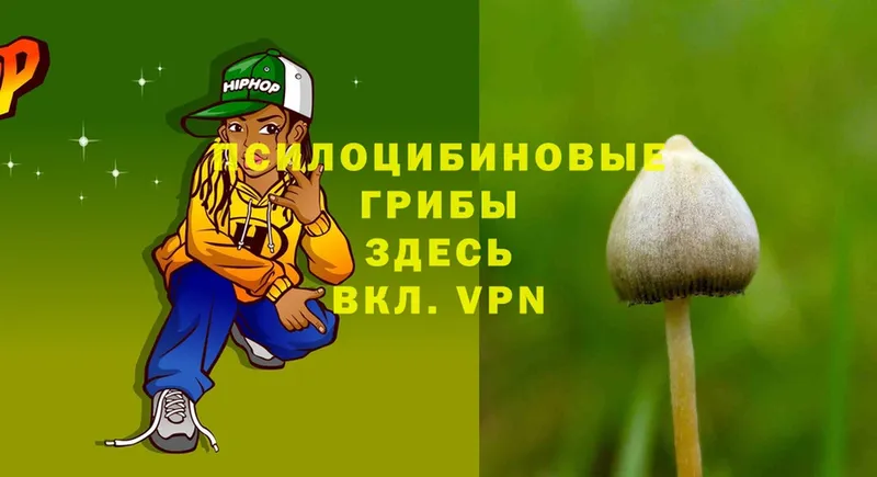 Галлюциногенные грибы Psilocybe Долинск